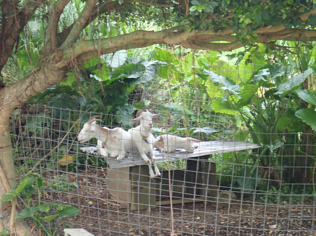 Minshuku Nodoka主图