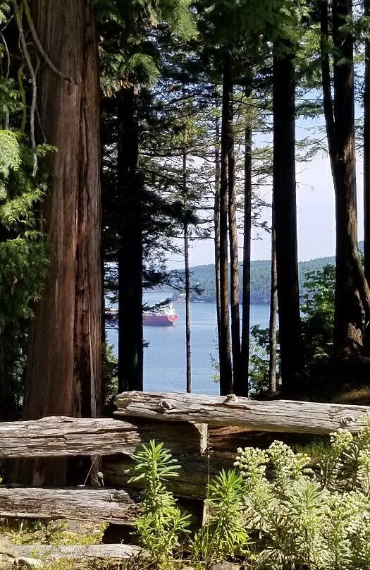 Sea Star Vineyard and Winery-Pender Island必去景点