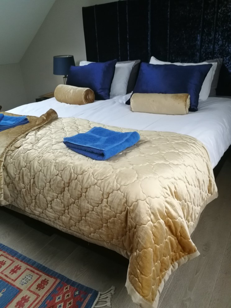 Toadhall Rooms-官方