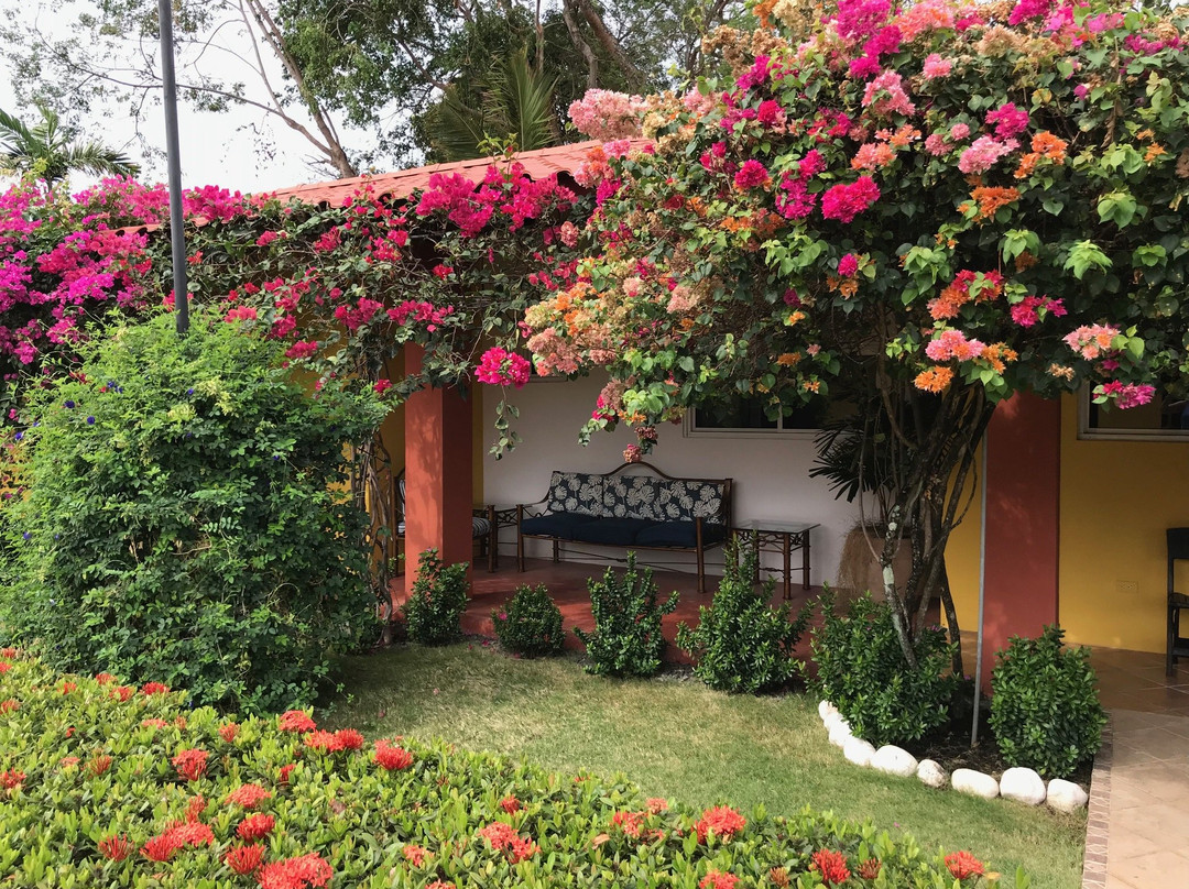 Casa de Los Suenos Bed and Breakfast主图