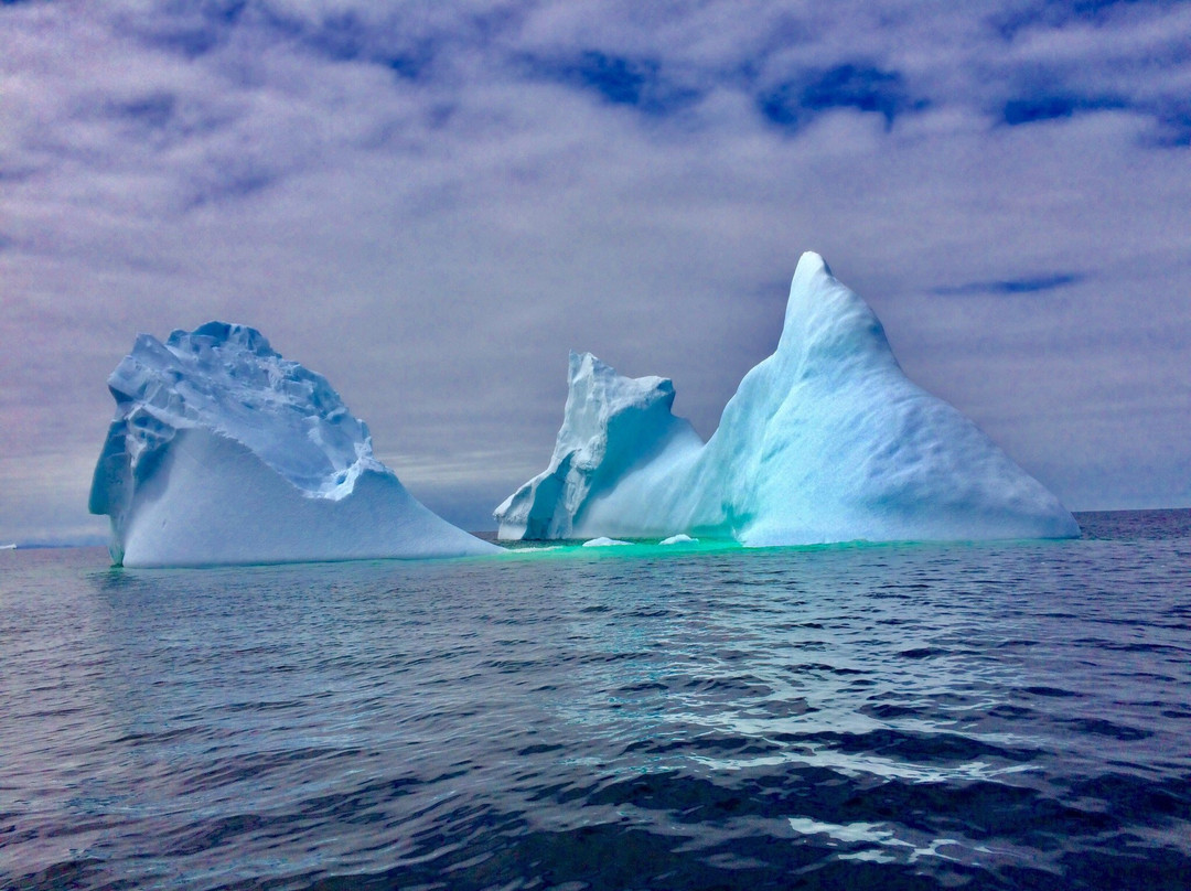 Capt. Dave's Boat Tours景点图片