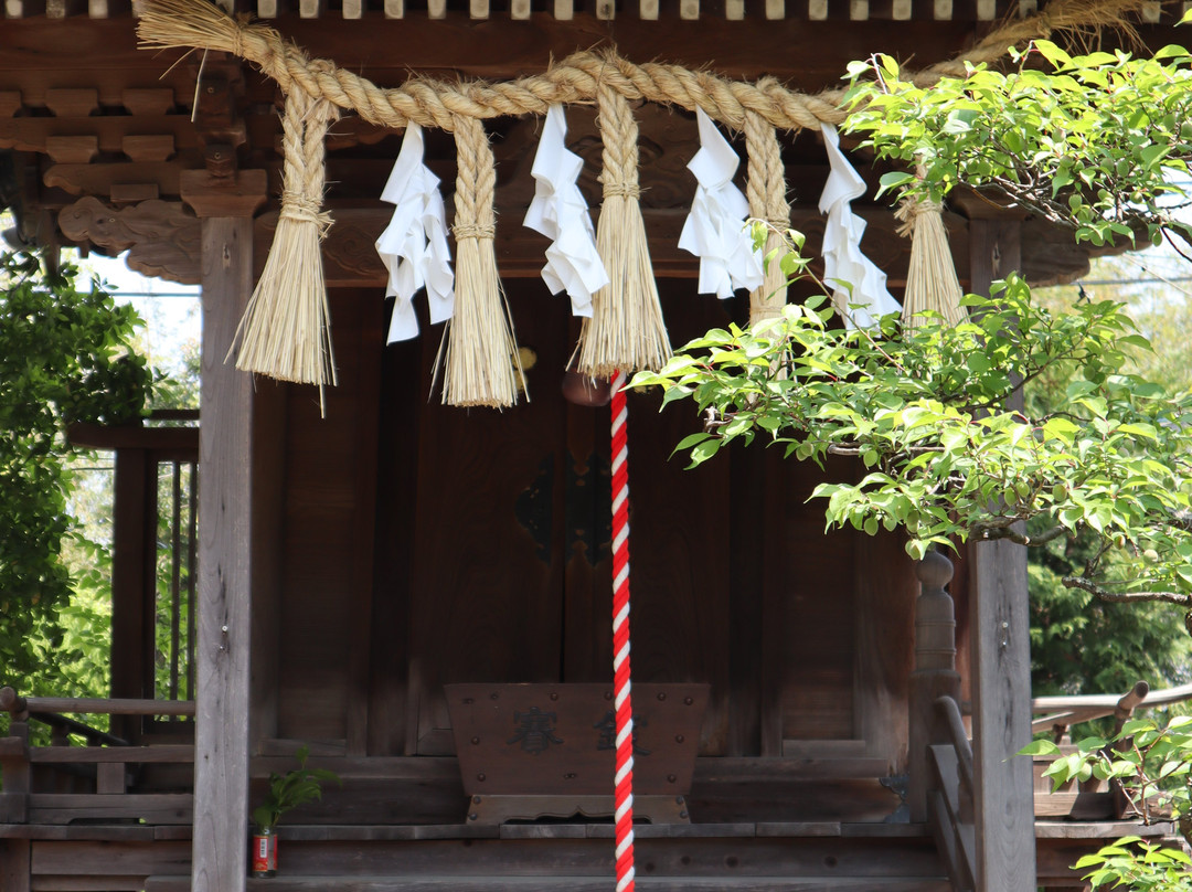 Karatsu Shrine景点图片