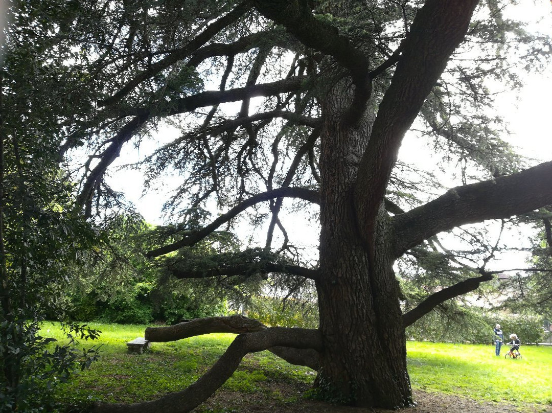 Giardino Botanico Colla