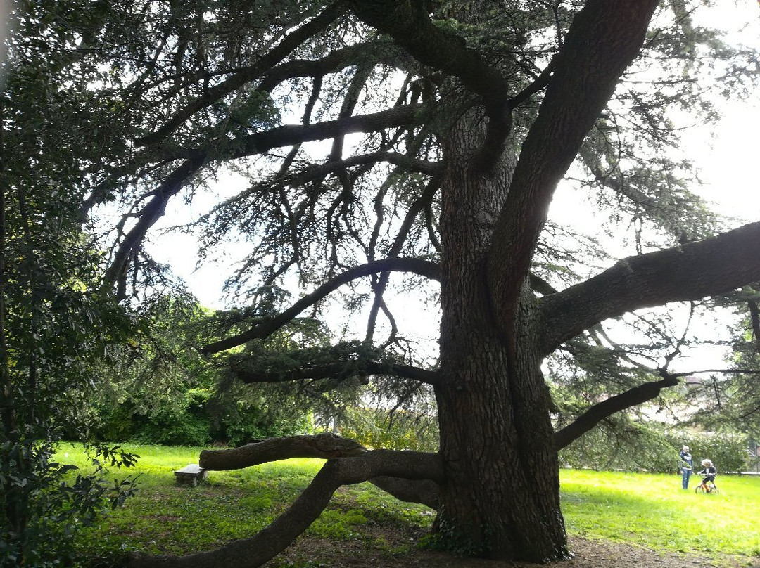 Giardino Botanico Colla景点图片