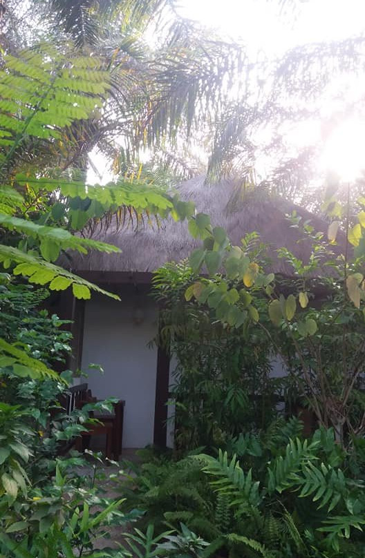 La Paillote Village Hotel主图