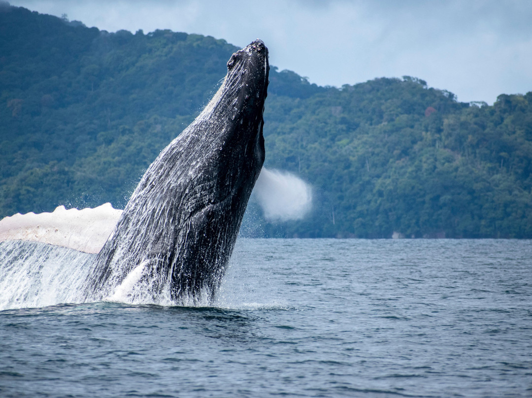 Madre Agua Ecoturismo