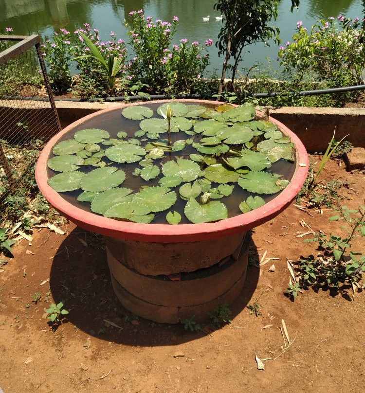 Shri Varad Vinayak景点图片
