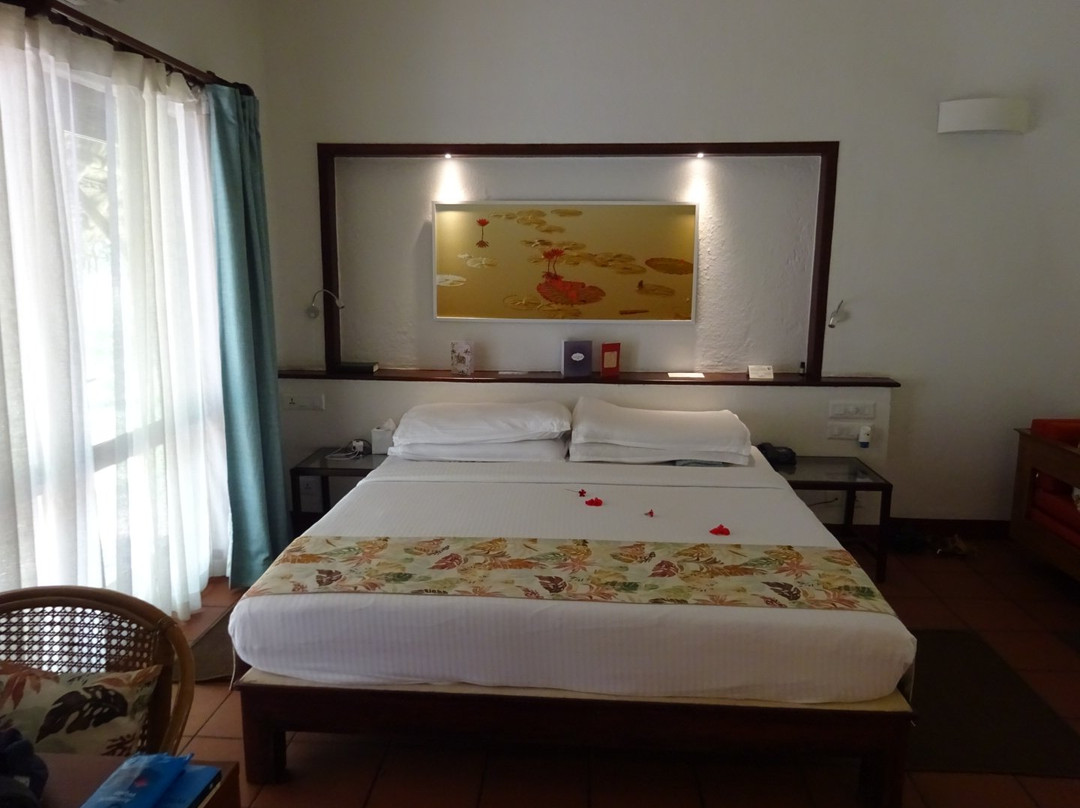 Marari Beach - CGH Earth主图