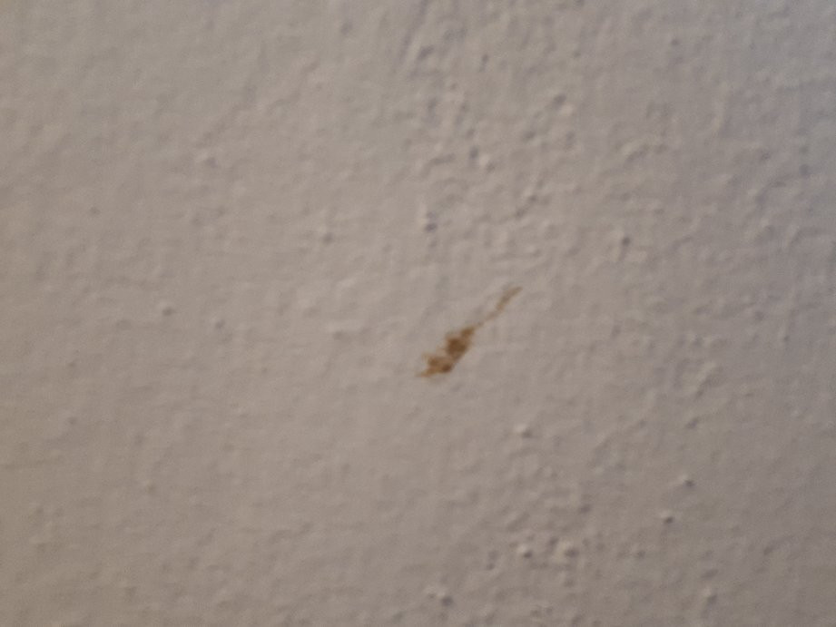 阿尔特斯祖尔翰斯酒店主图