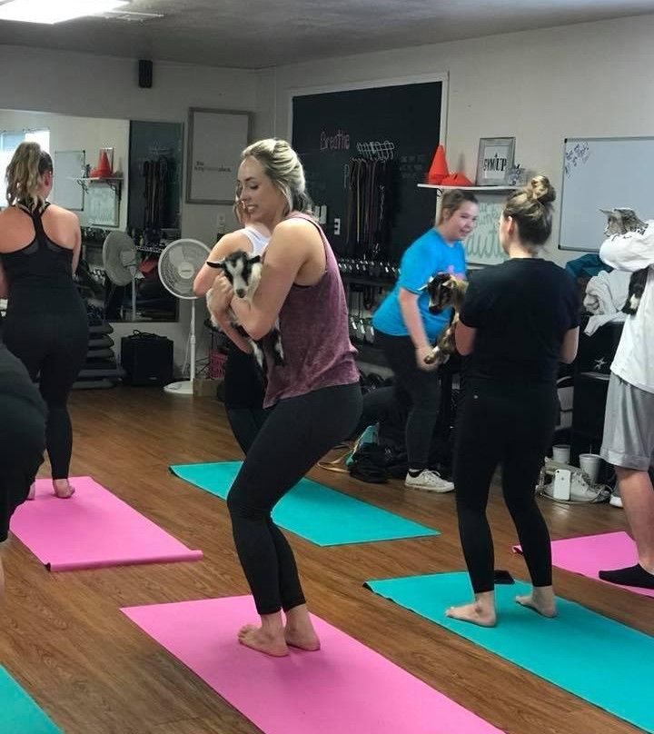 Waco Goat Yoga-韦科必去景点