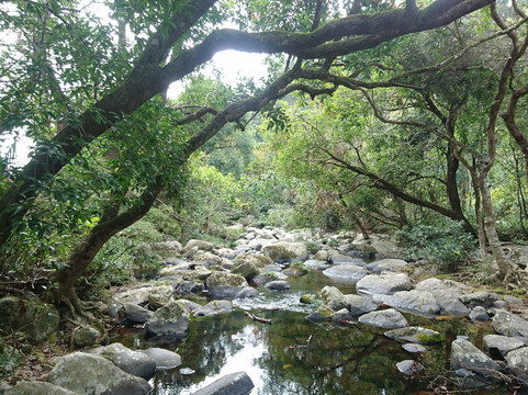 新娘潭自然教育径-香港必去景点