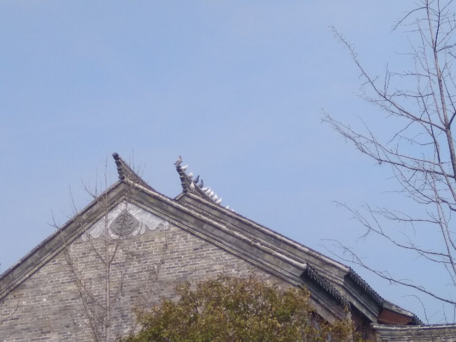 潘安湖湿地公园-徐州市必去景点