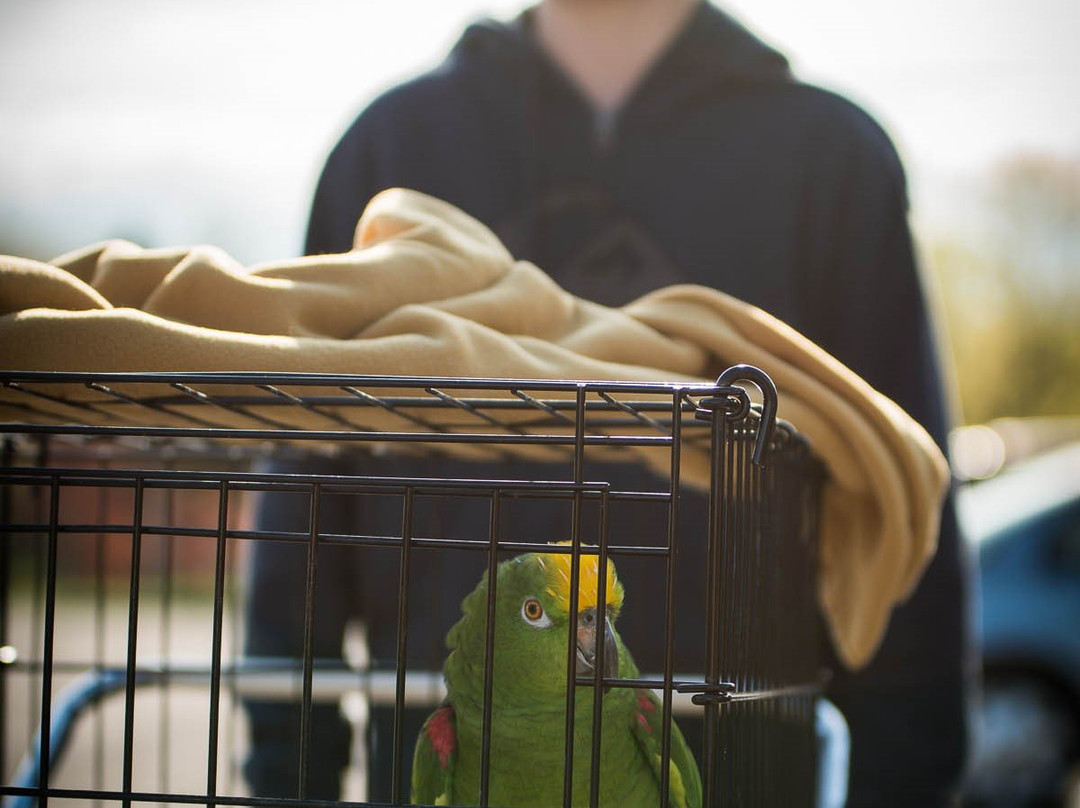 Parrot Partners Canada-Carleton Place必去景点