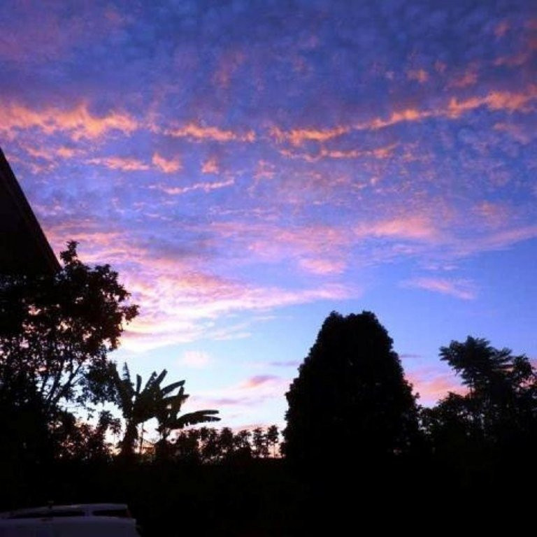 Tread Lightly Kauai Tours- Private Day Tours景点图片