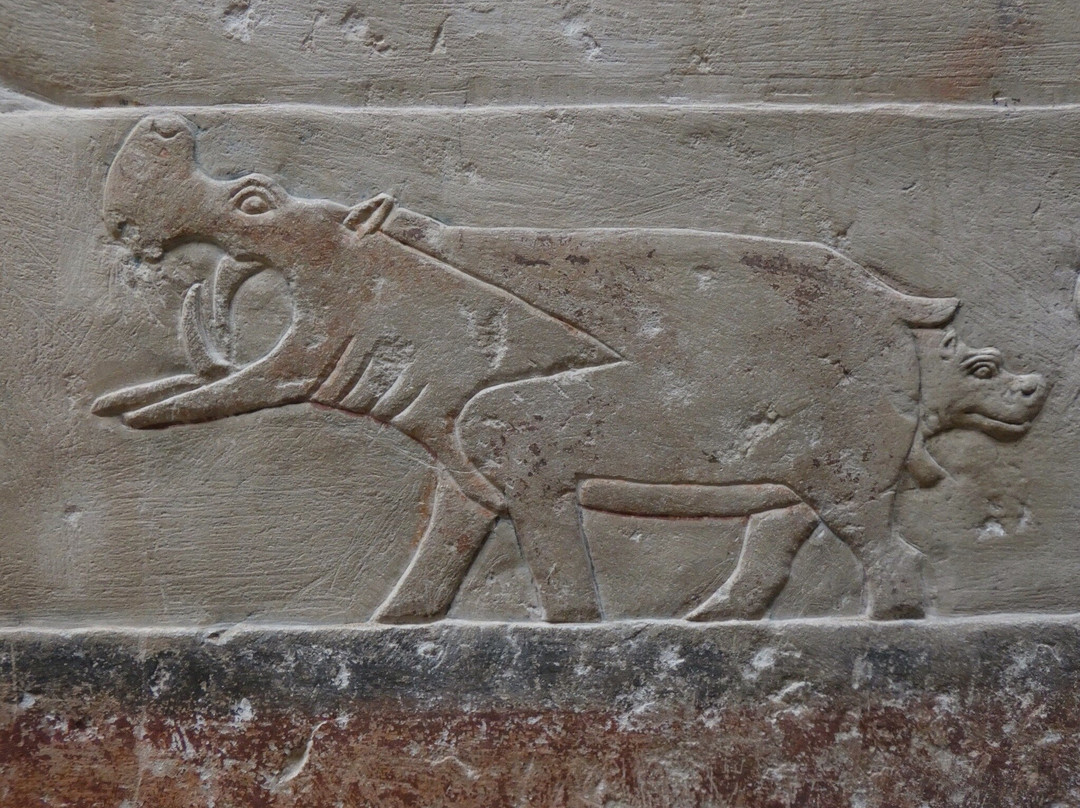 Tomb of Idut-Saqqara必去景点