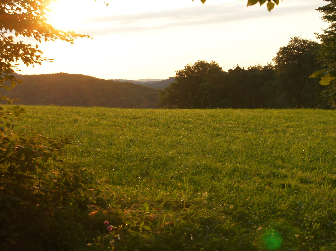 Biosphärenpark Wienerwald-Tullnerbach必去景点