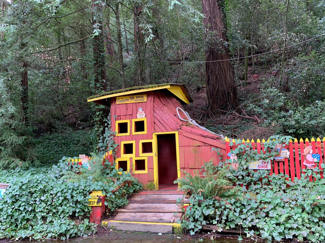 Confusion Hill Gravity House景点图片