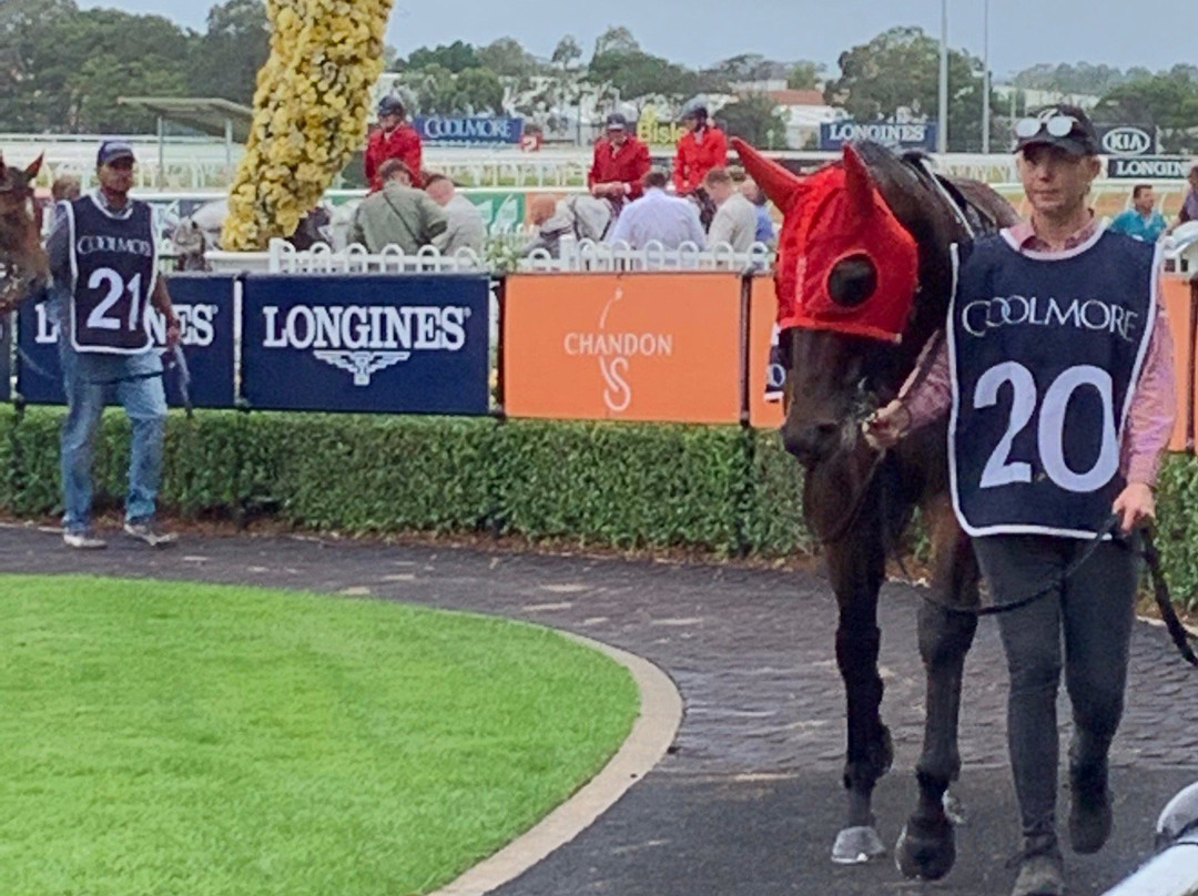 Rosehill Gardens Racecourse景点图片