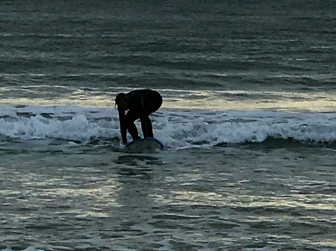 Catlins Surf School-Curio Bay必去景点