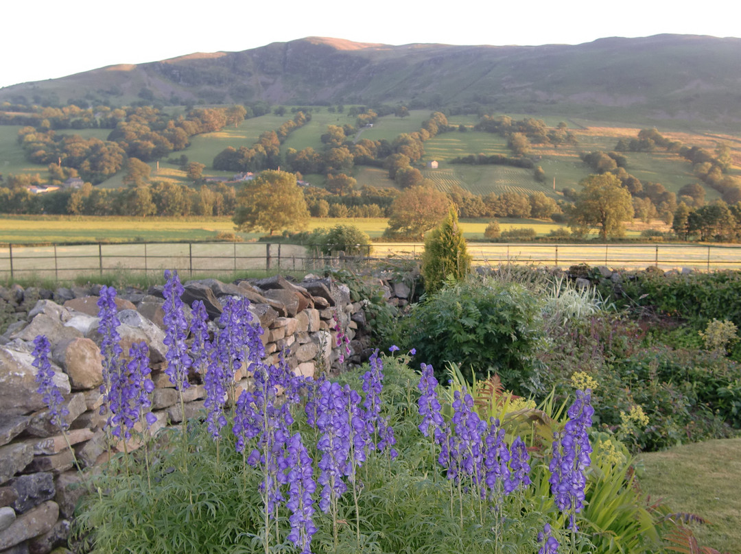 The Old Craft Barn主图