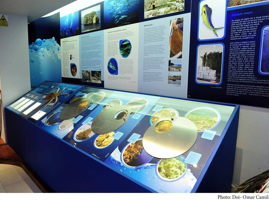 Dwejra Marine Environmental Education Centre景点图片