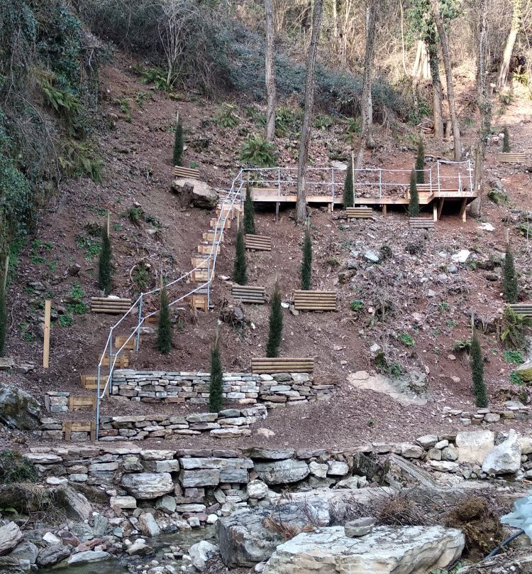 Orto Botanico delle Conifere景点图片