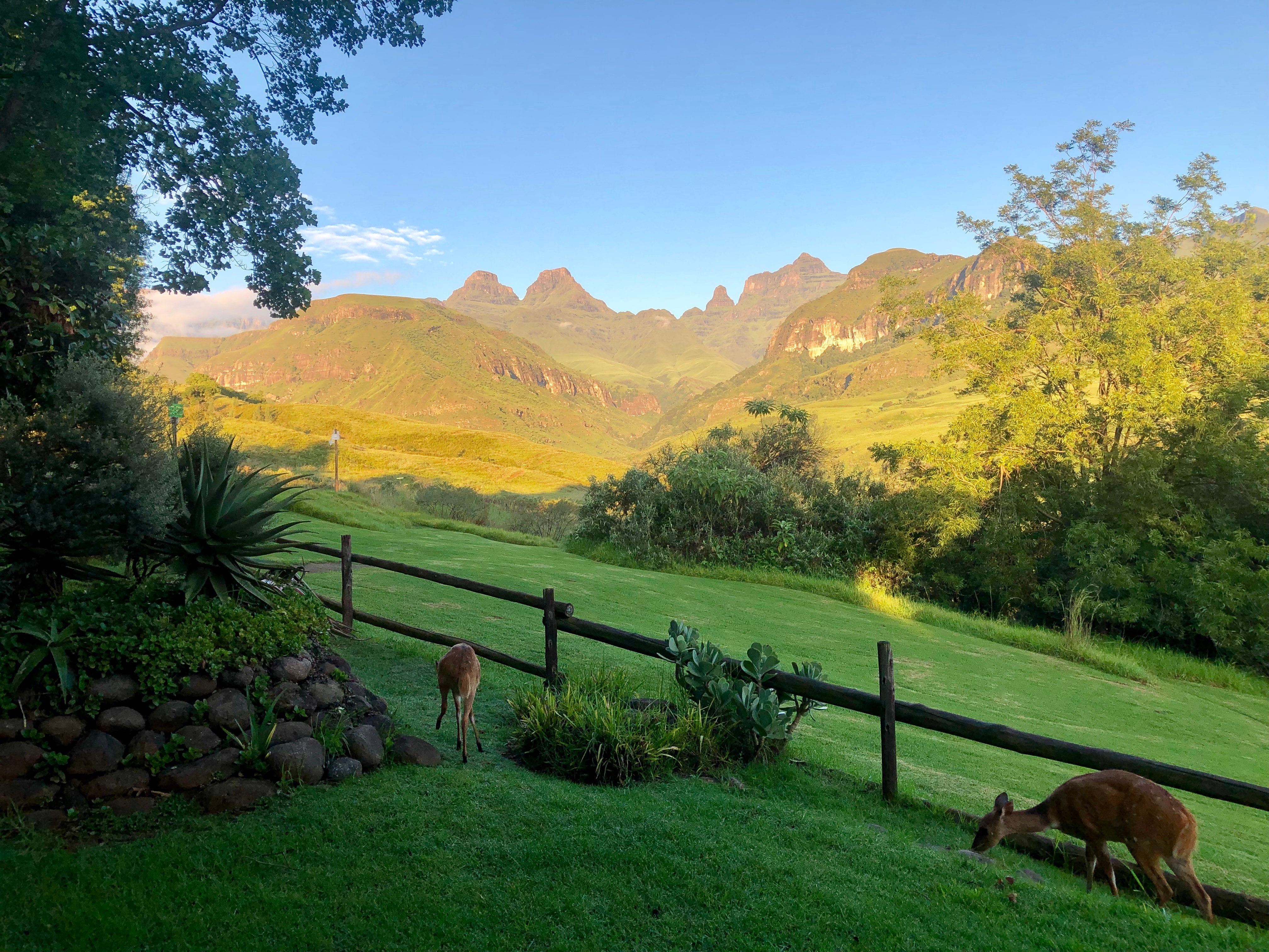 Cathedral Peak Hotel-酒店景观