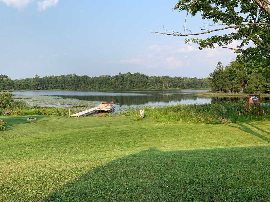 Article 15 Bar & Grill