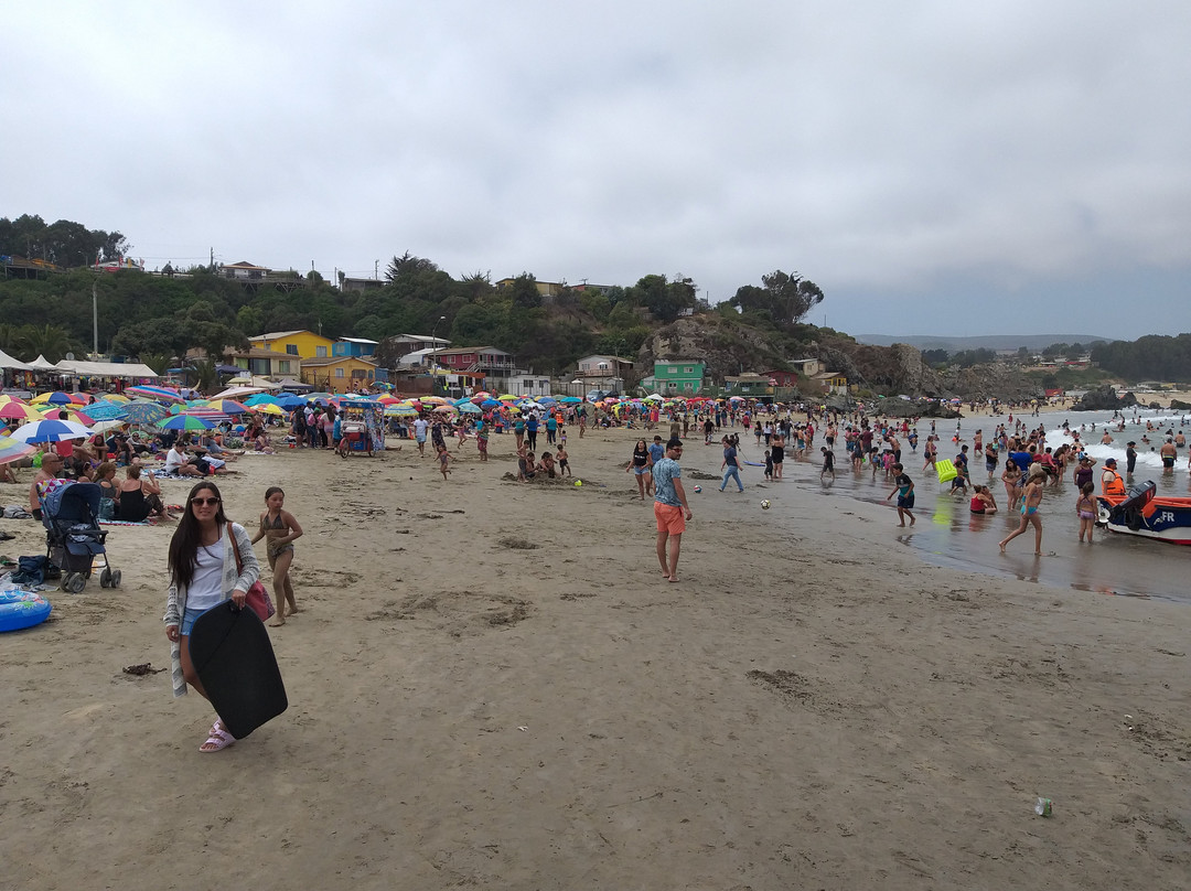 Playa Pichicuy-La Ligua必去景点