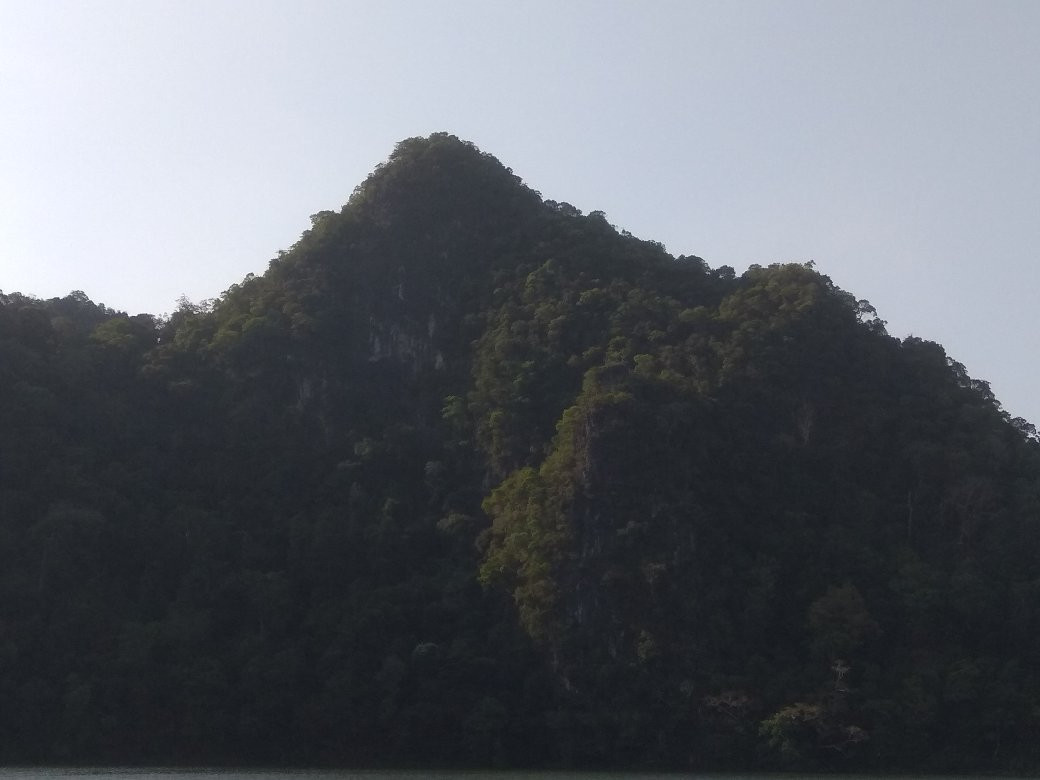 Dayang Bunting Marble Geoforest Park-Pulau Dayang必去景点