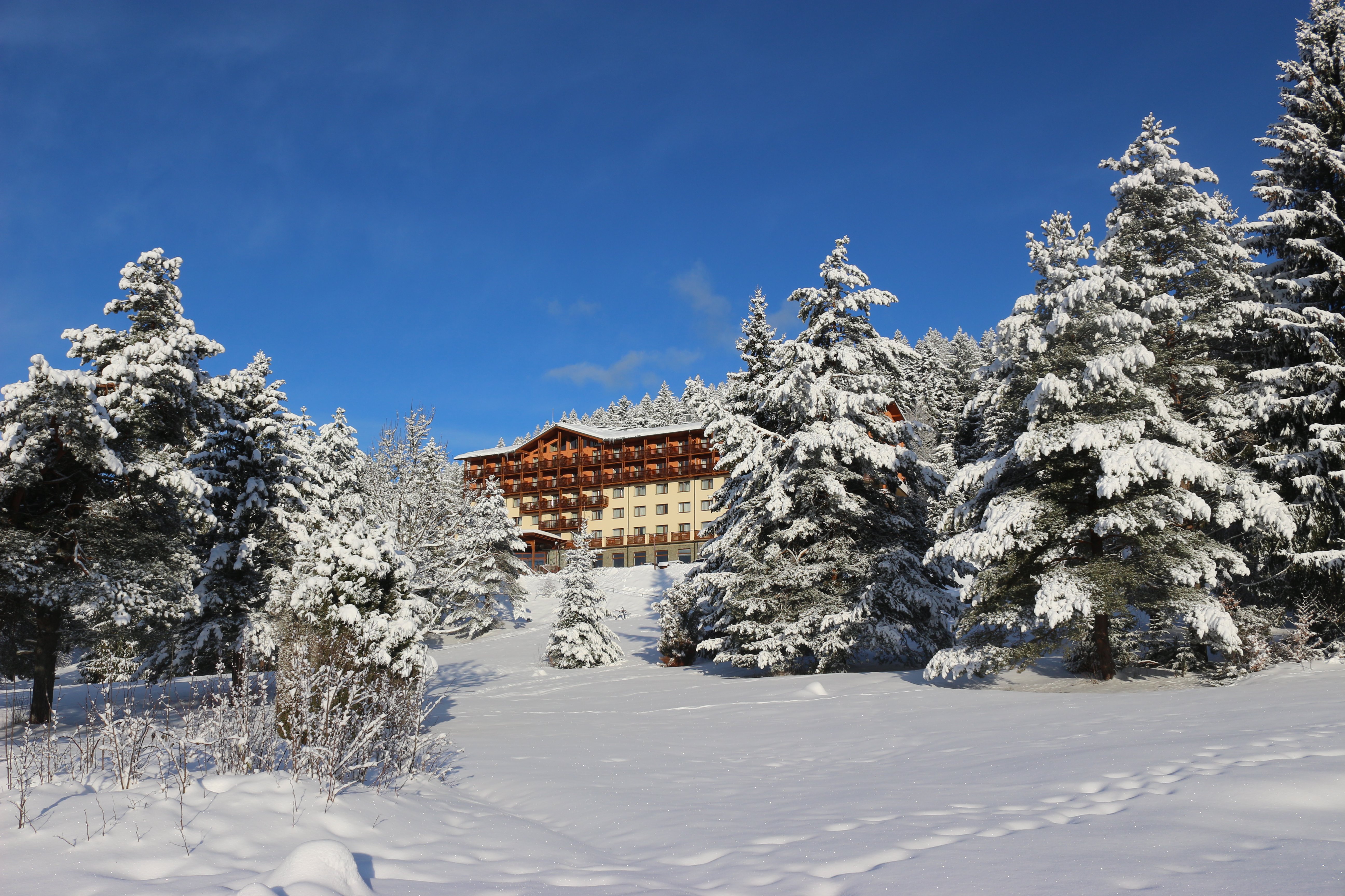 Hotel Partizan-官方