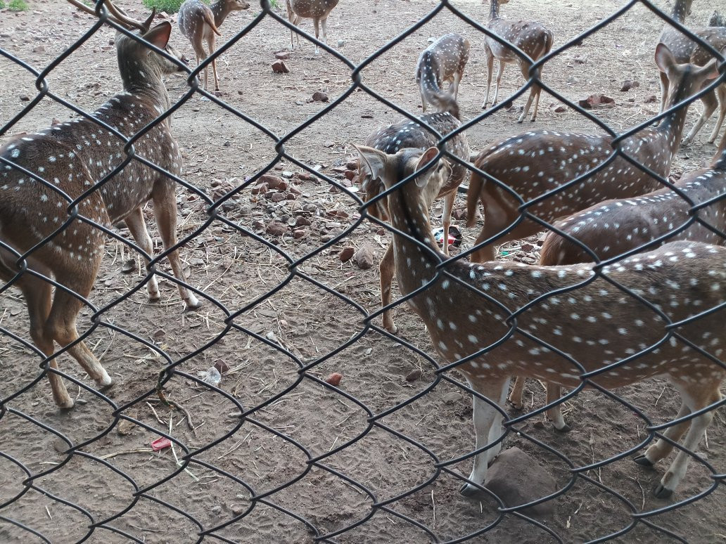 Deer Park景点图片