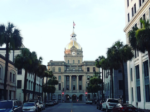 Mad Cat Tours-萨凡纳必去景点