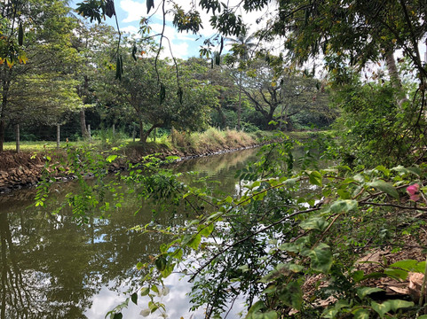 萨仁迪住宿加早餐旅馆主图