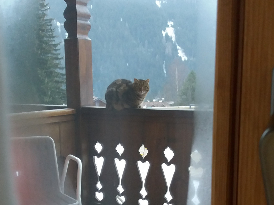 Alpine Touring Hotel主图