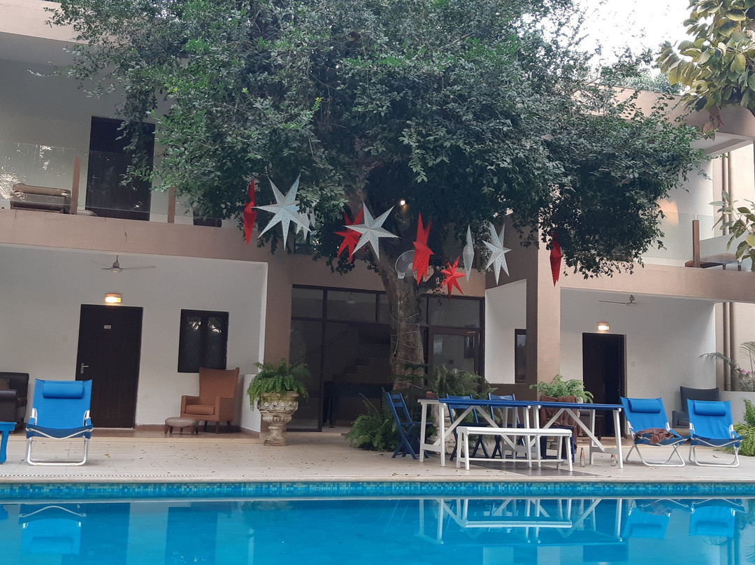 Mango Beach House主图