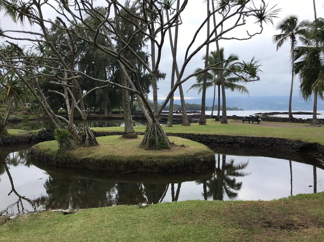 Marylou's Big Island Guided Tours - Private Tours景点图片