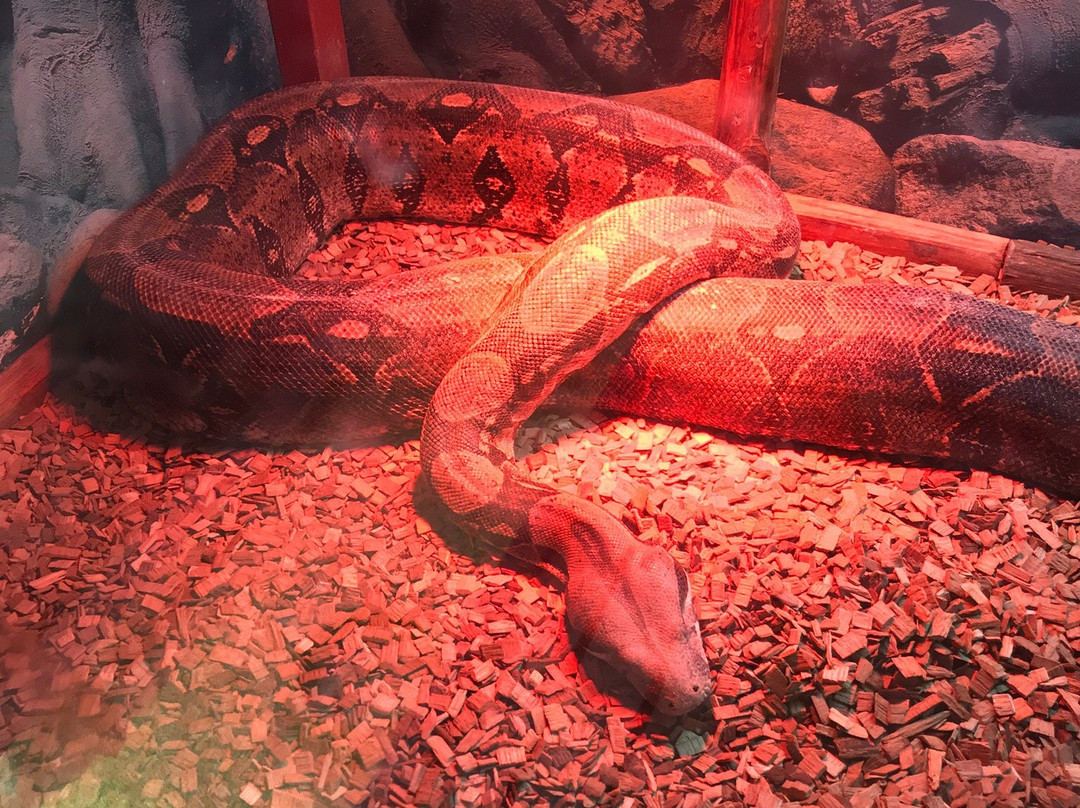Aquarium-Reptile House-埃泽萨必去景点