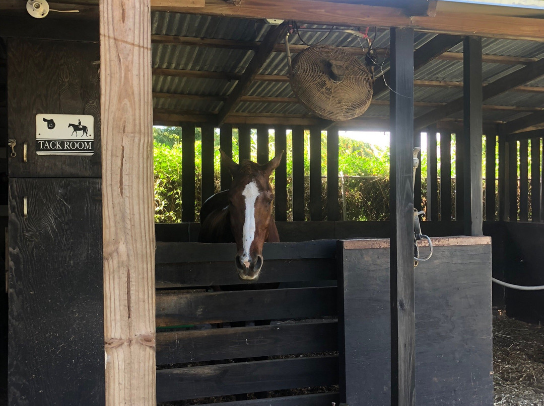 Happy Trails Stables, Windsor Equestrian Centre-新普罗维登斯岛必去景点