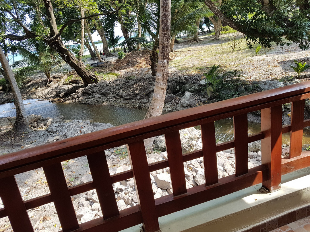 Dolphin Resort主图