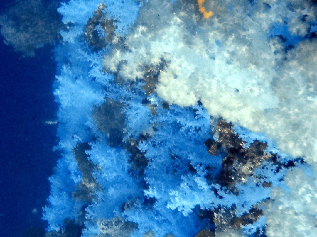 Dive Academy Fiji-Waiyevo必去景点