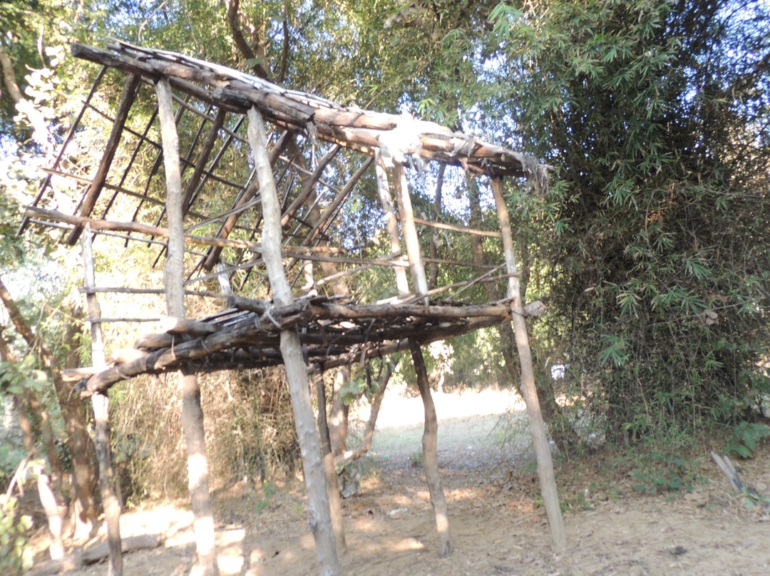 Pug Mark Resort主图