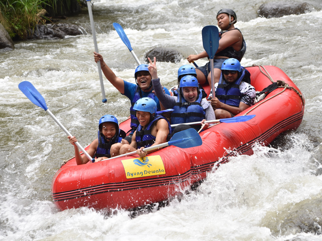 JJBalitours-乌布必去景点