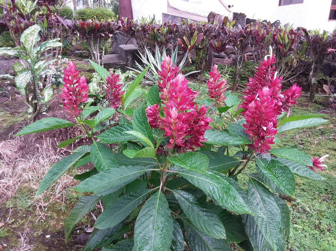 Twin Lodge Galapagos主图