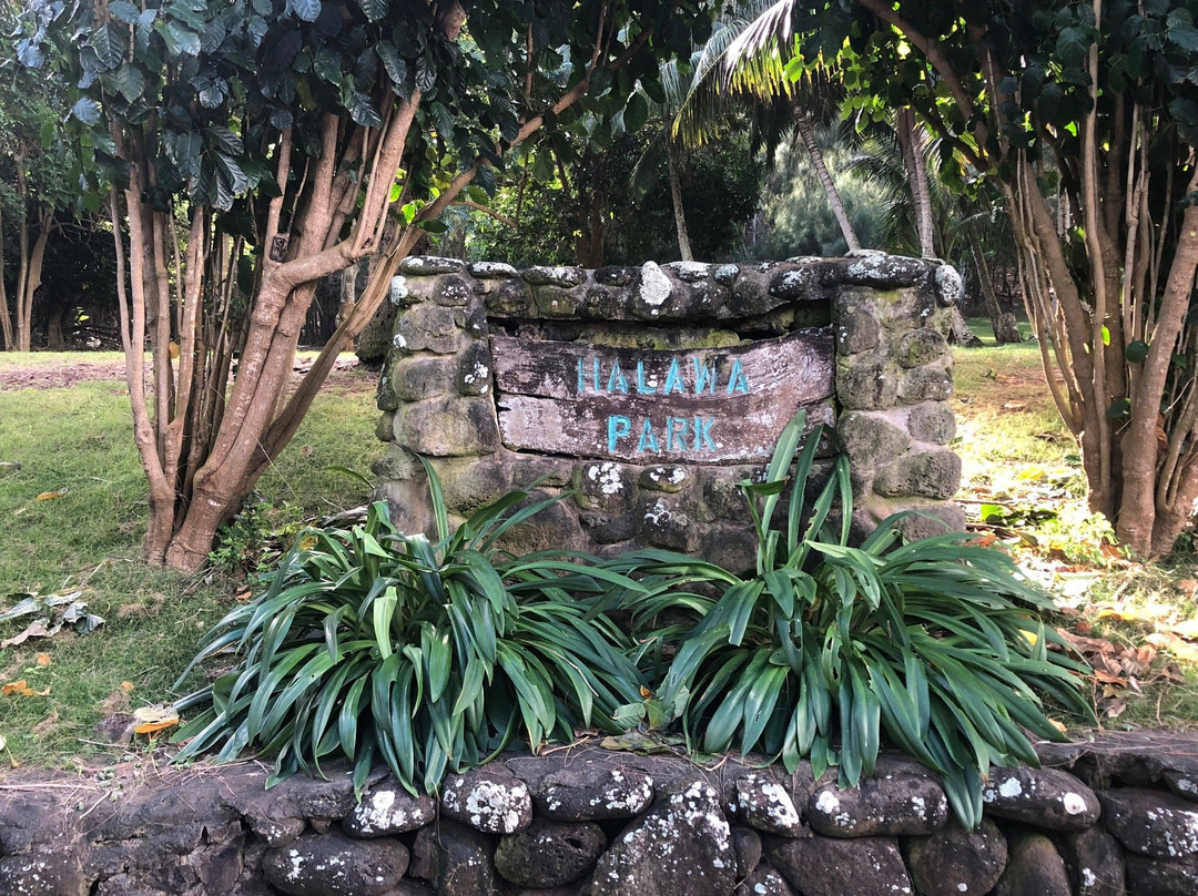 Halawa Tropical Flower Farm-考纳卡卡伊必去景点