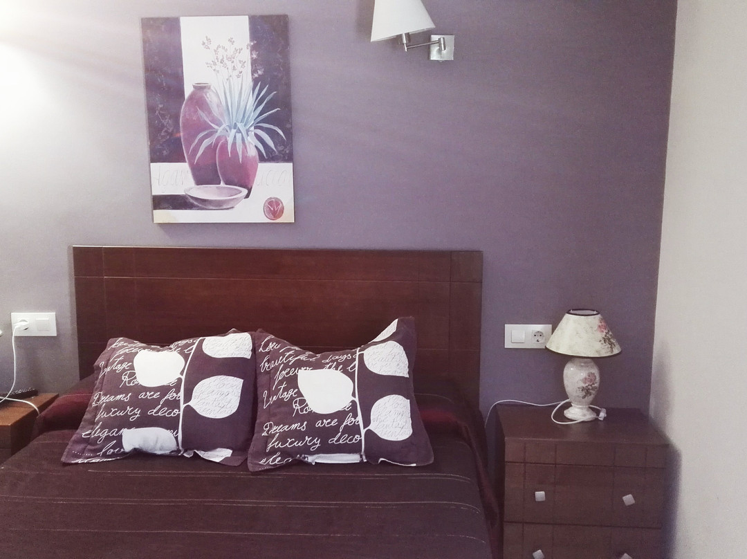 Hostal Los Palacios主图