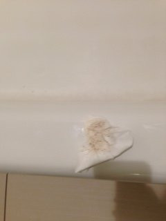 Fairfield by Marriott Inn & Suites Dickson主图