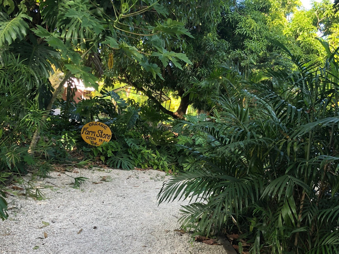 2024年2月Glaser Organic Farms景点攻略Glaser Organic Farms门票预订地址图片Glaser