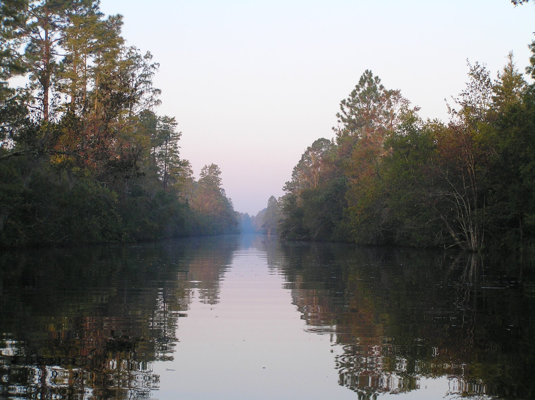 Suwanee Canal Recreation Area-Folkston必去景点