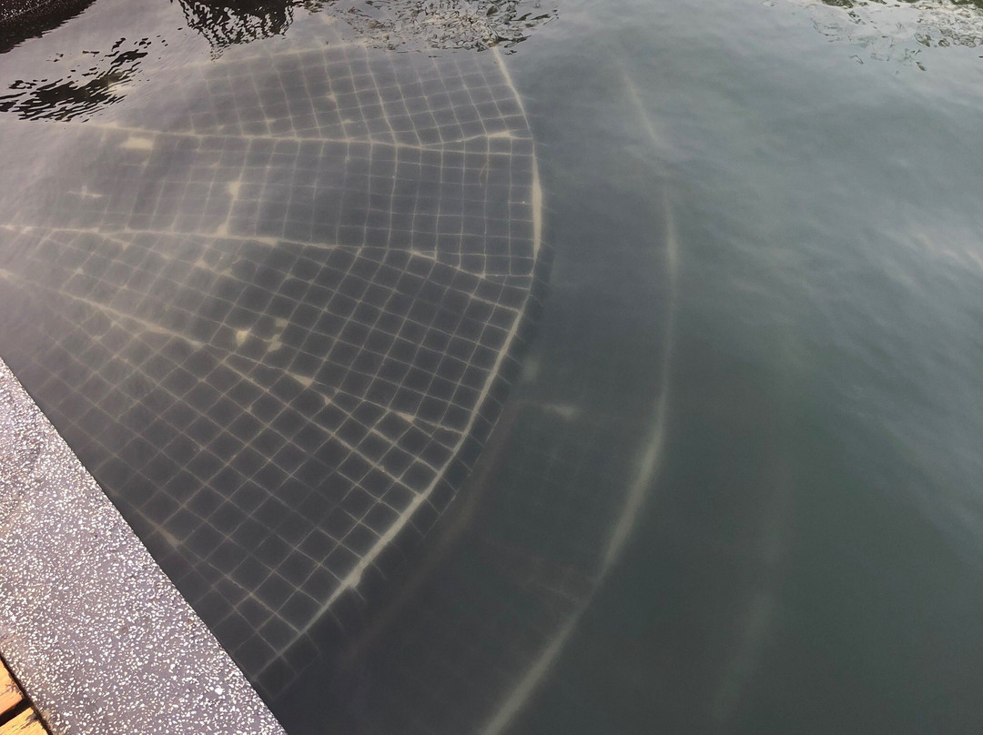 皮卡别墅酒店主图